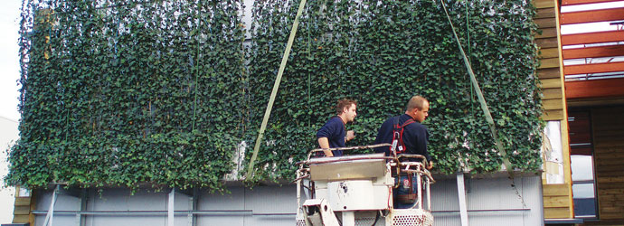 mobilane wallplanter groene gevel plantenwand