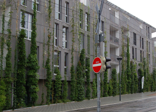 groene gevel plantenwand grondgebonden groene straat