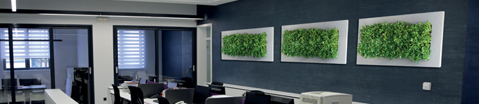 groene gevel plantenwand grondgebonden mobilane wallplanter