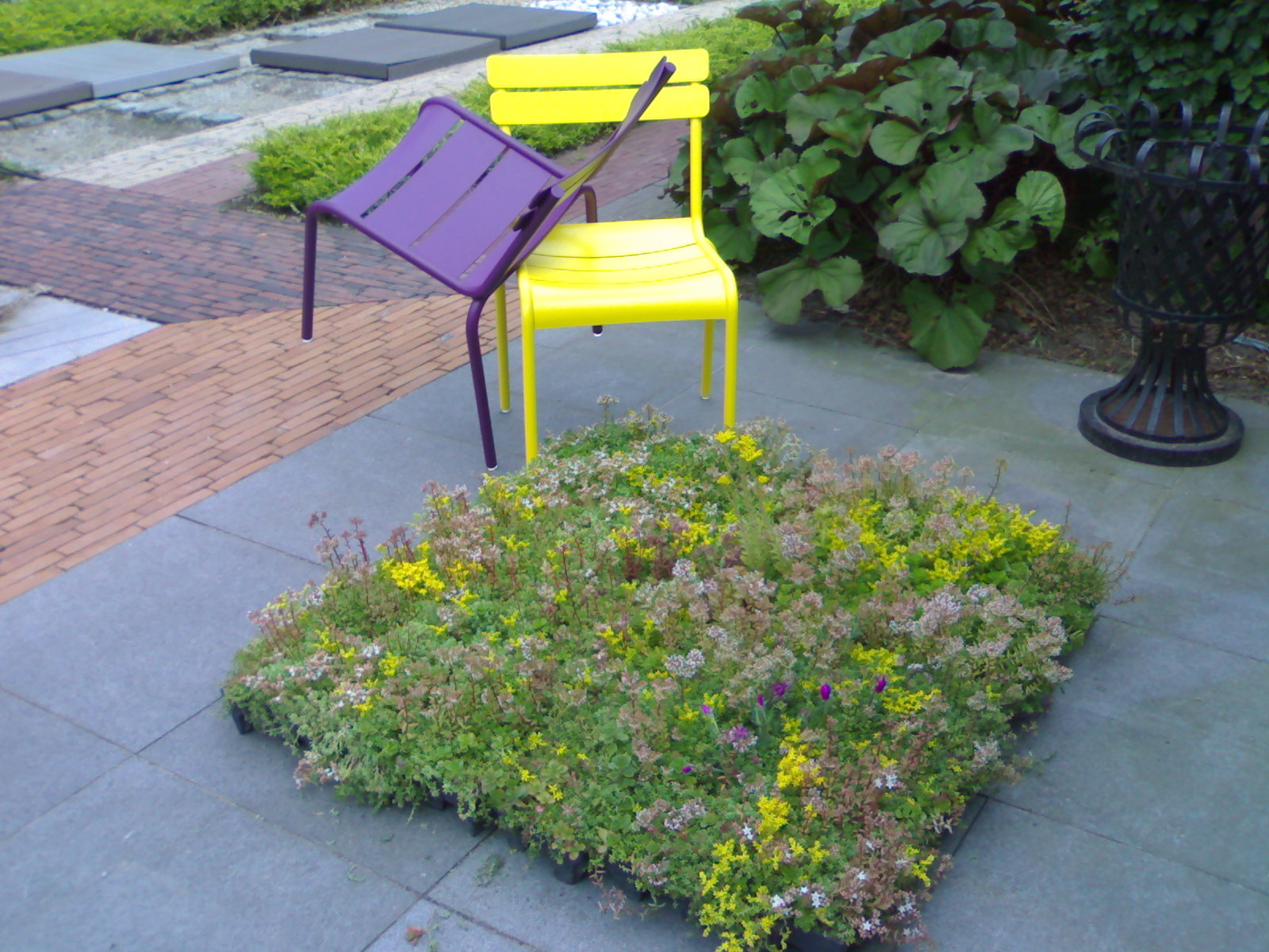 Speelse kleuren Speels kleurige stoelen met groendakcassette
