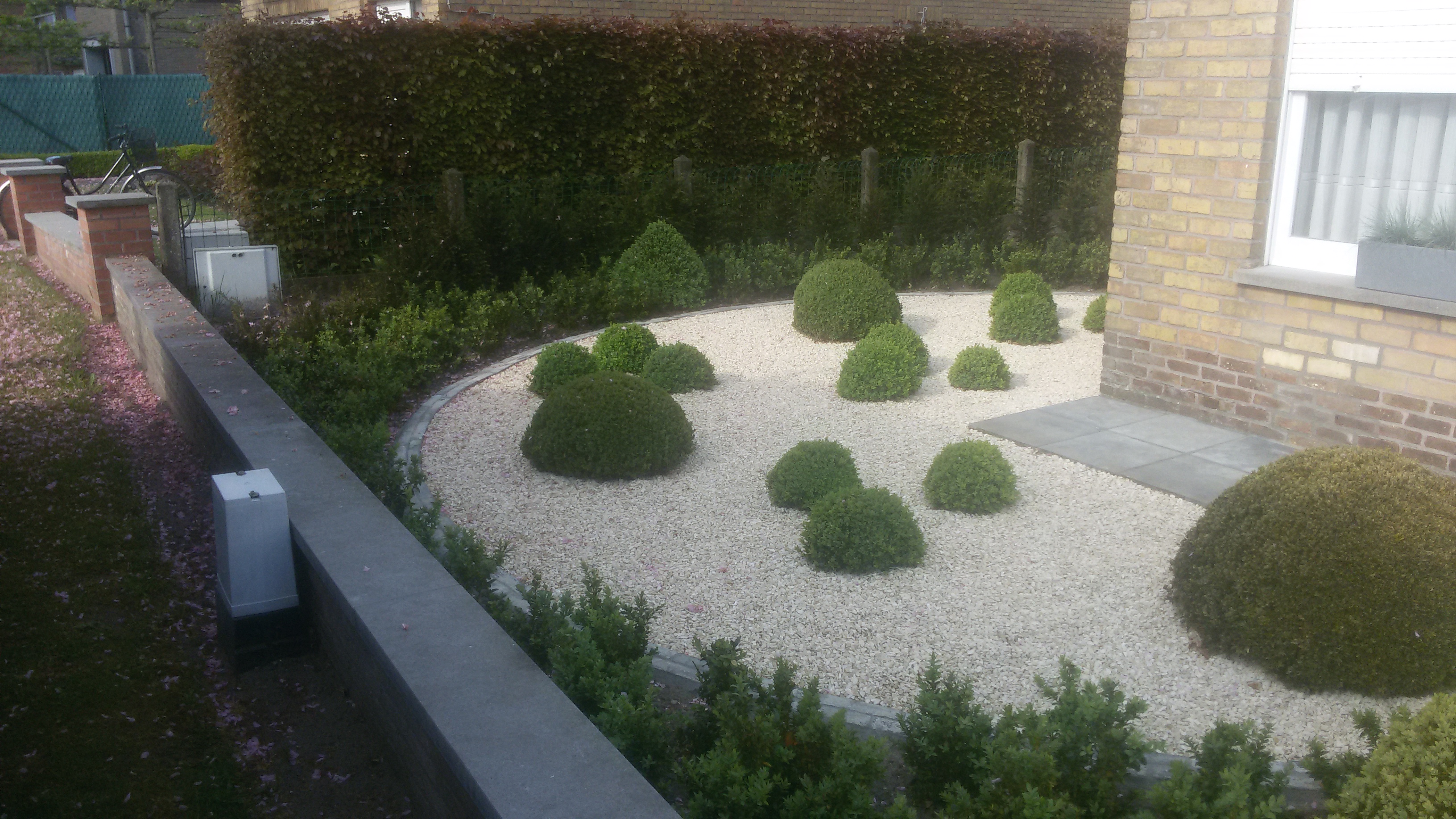 voortuin met grind en buxus