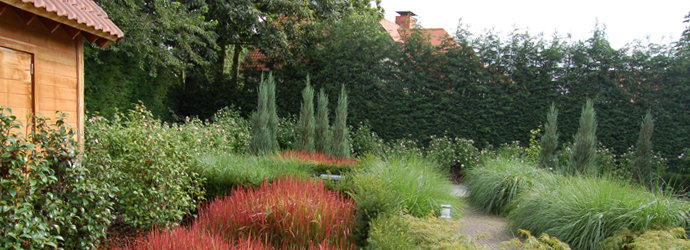 Een tuinborder met siergrassen Tuin met bloedgras
