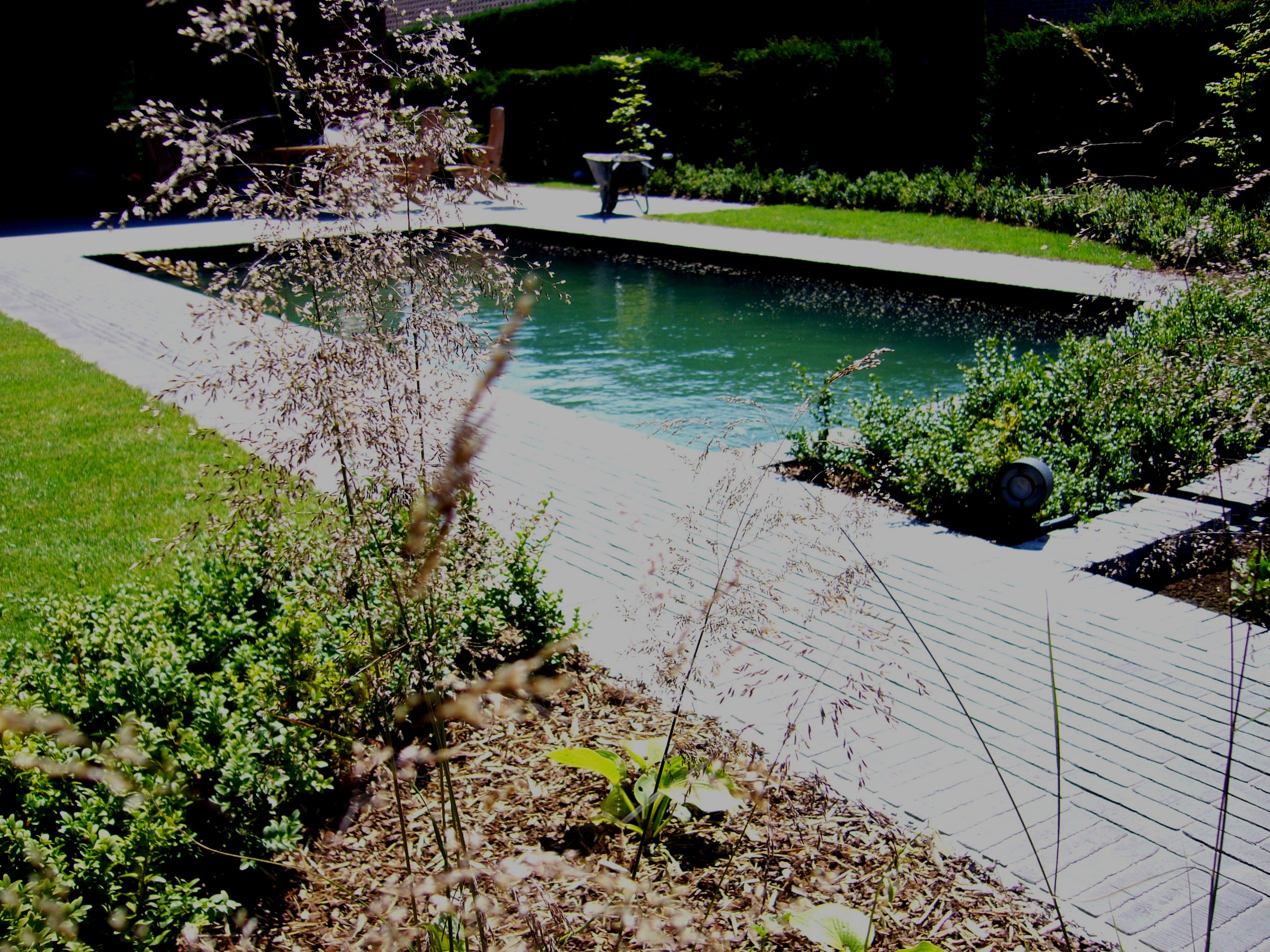 Zwemvijver gezien vanuit de tuin zwemvijver in beplanting