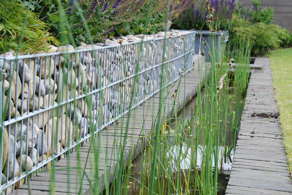 <a href="/node/265">waterzuivering voor de vijver</a>