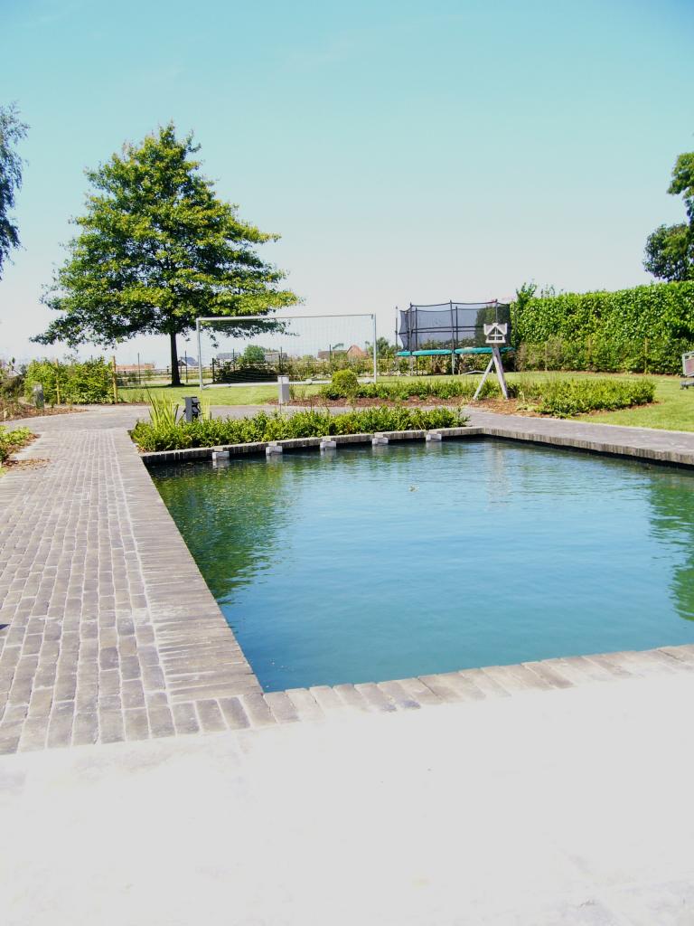 <a href="/node/390">zwemvijver in de tuin</a>