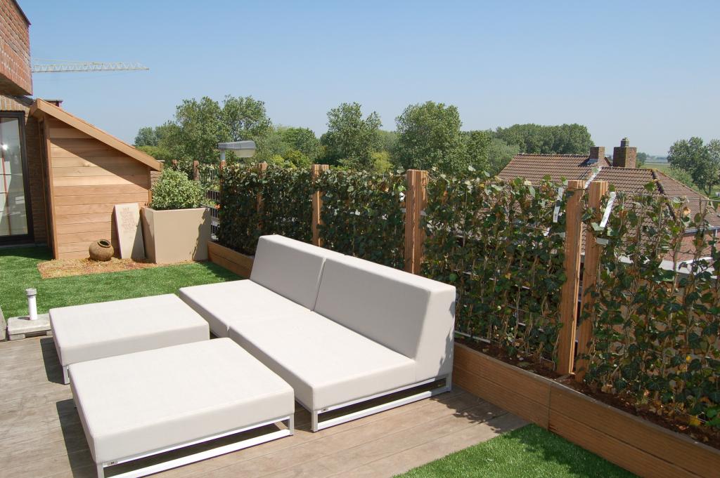 <a href="/node/90">Daktuin te Oostende</a>
