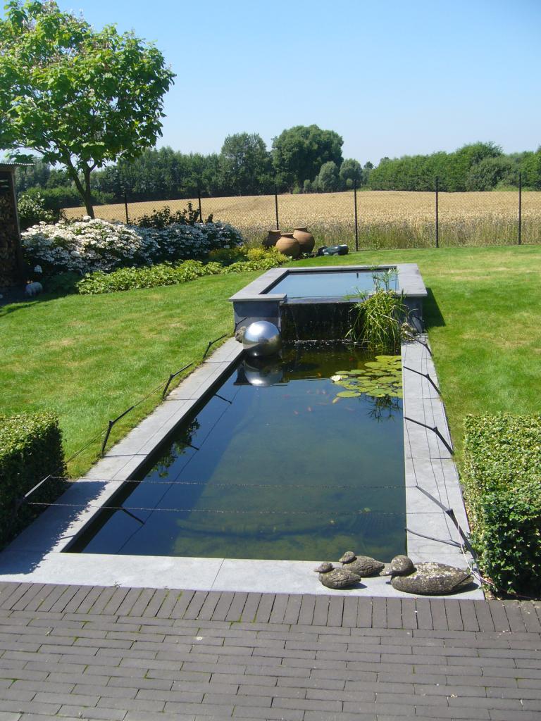 <a href="/node/415">Siervijver</a>