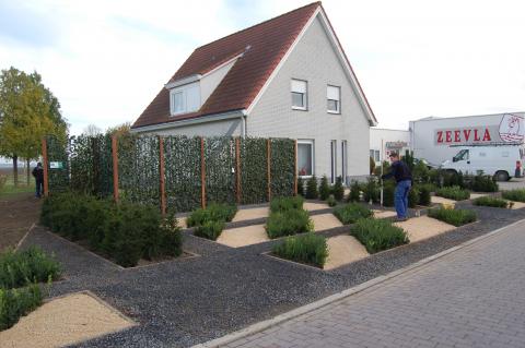 onderhoudsvriendelijk bedrijfsgroen