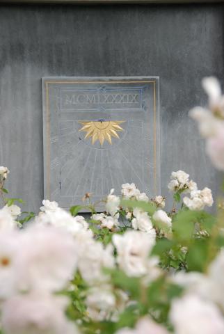 Zonnewijzer tussen de rozen