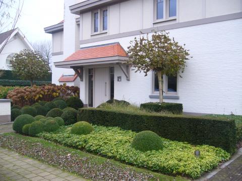 voortuin met buxus