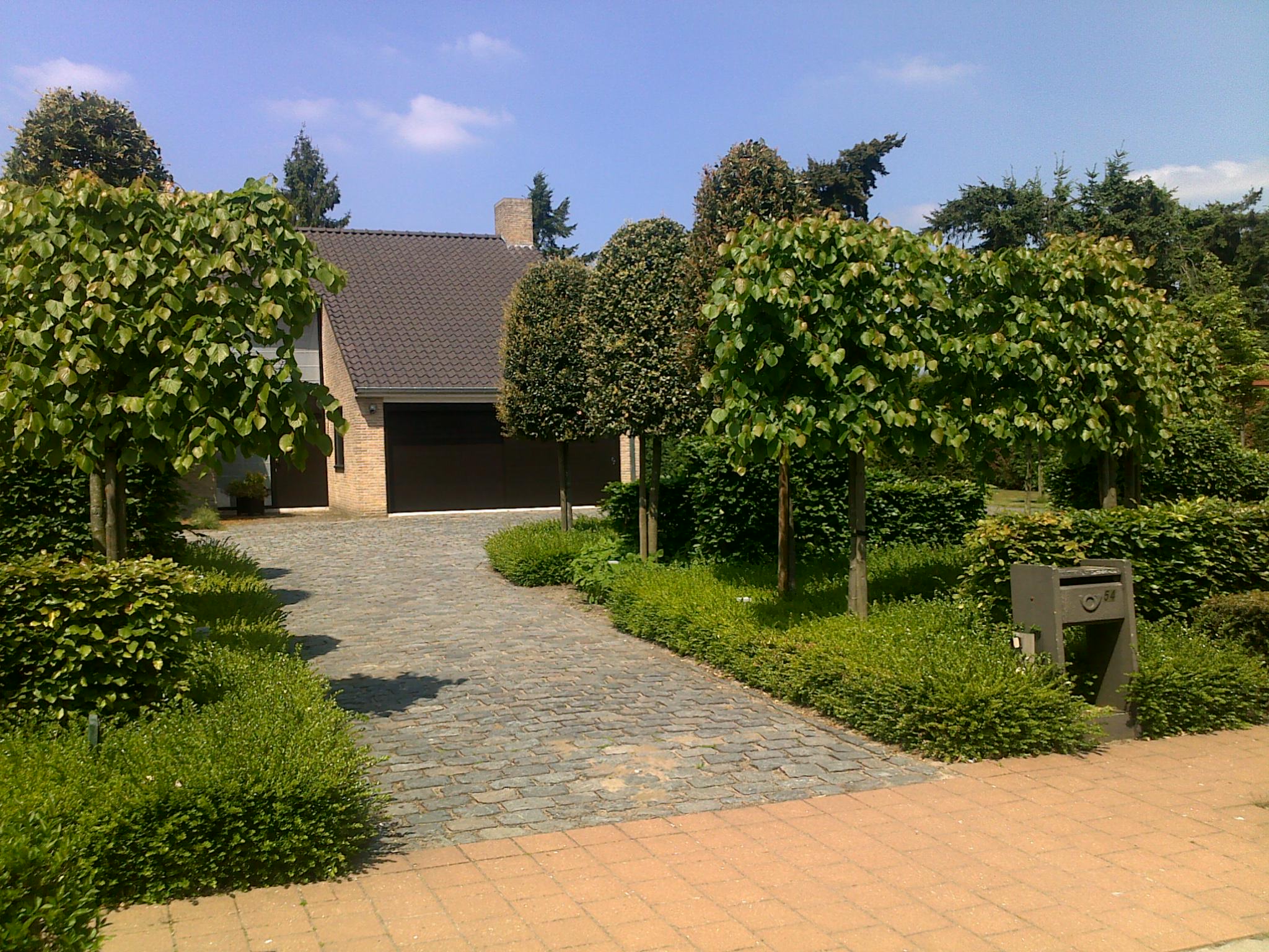 Oprit in kasseien Oprit kasseien leilinden steeneik quercus ilex