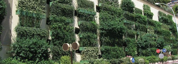 WallPlanter als stadsgroen mobilane wallplanter groene gevel plantenwand grondgebonden