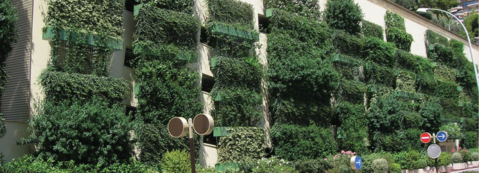 mobilane wallplanter groene gevel plantenwand grondgebonden